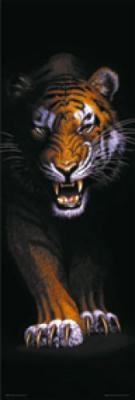Prowling Tiger art print by Door Posters