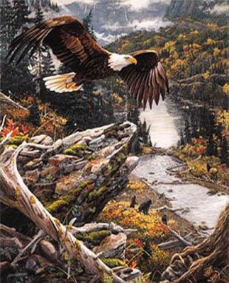 Rocky Mountain High art print by Jan Martin McGuire