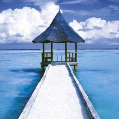 Maldives - Hut art print by Anonymous