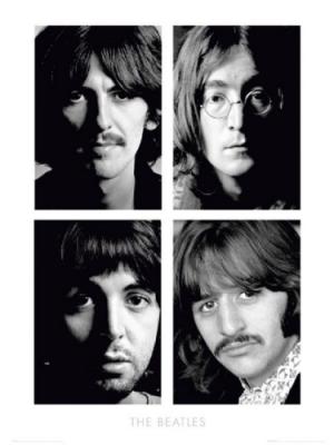 Beatles - White Album art print by Celebrity Image