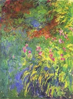 Irises, 1914-17 art print by Claude Monet