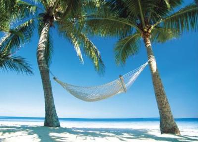Hammock art print by Giant Posters