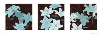Kate Knight - Triptych art print by Midi Posters