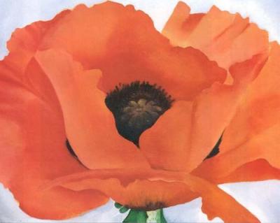 Red Poppy