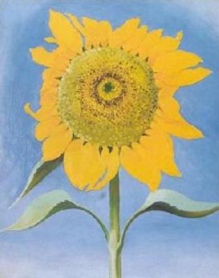 Sunflower, New Mexico, 1935 art print by Georgia O'Keeffe
