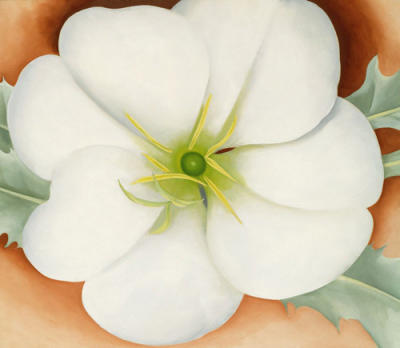 White Flower on Red Earth, No. 1 art print by Georgia O'Keeffe