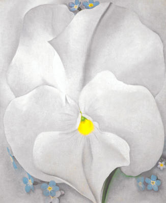 White Pansy art print by Georgia O'Keeffe