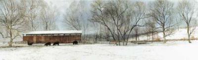 Buck Run Bridge art print by Peter Sculthorpe