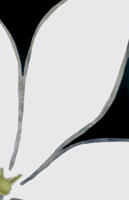 Untitled, 2005 art print by Nicolas Le Beuan Benic