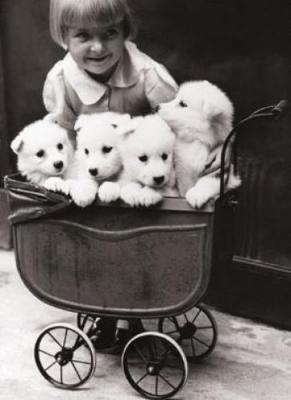 A Fine Family art print by B & W Collection