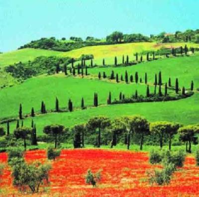 Tuscany, Italy art print by C.H. Hermes