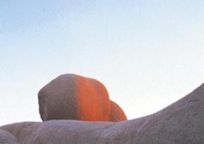 Apple Rock, California art print by Christophe Cassegrain