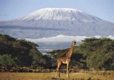 Kimana Area - Kenya art print by Daryl Balfour