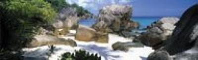 Anse Patates - La Digue - Seychelles