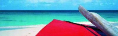 Anguilla art print by James Red