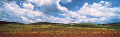 Hills, Tuskany art print by K.H. Hanel