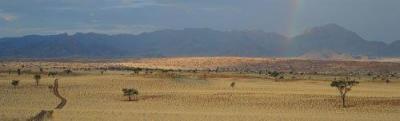 Namib Rand - Namibia art print by Paul Franklin