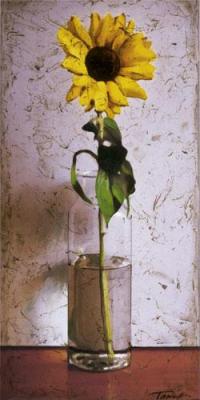 Sunflower II art print by Tania Darashkevich