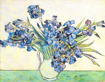 Irises art print by Vincent Van Gogh