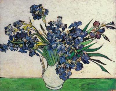 Irises art print by Vincent Van Gogh