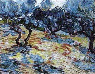 Olive Trees art print by Vincent Van Gogh