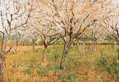 The Orchard art print by Vincent Van Gogh