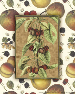 Fruit II art print by Anonymous