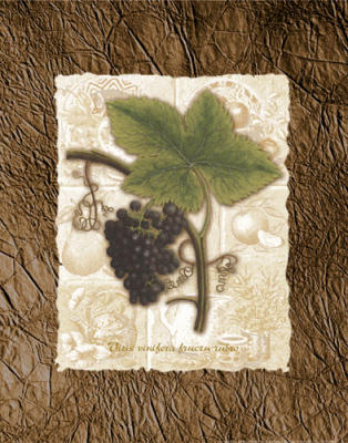 Grapes III art print by Anonymous