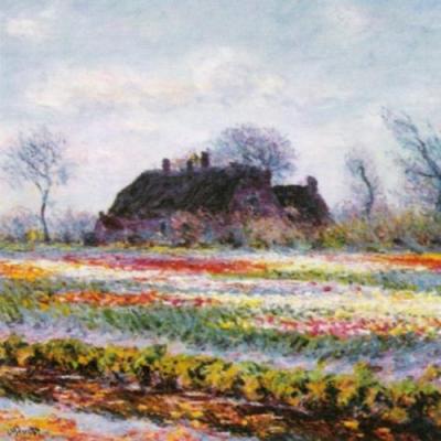 Tulip field at Sassenheim, (detail) art print by Claude Monet