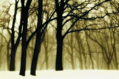 Past Dreams art print by David Lorenz Winston