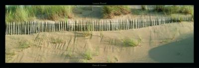 Dune de Carteret art print by Laurent Pinsard