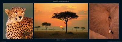 African Savannah