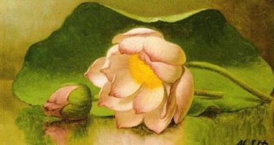 Lotus Blossom, 1885-95 art print by Martin Johnson Heade