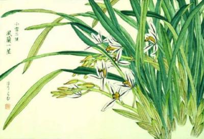 White Orchids art print by Kosikose