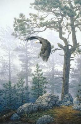 Shrouded Forest art print by Dan Smith