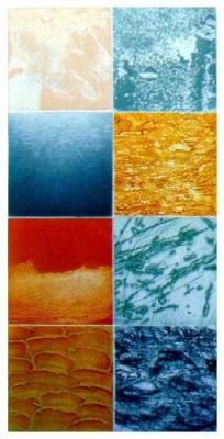 Marine Forms IV art print by Trevor Price