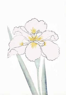 Japanese Irises I - IV, Japanese Iris III art print by Modern Editions