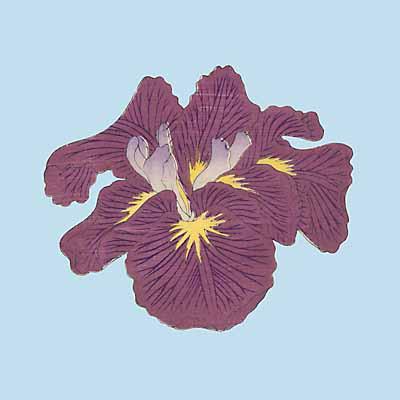 Pop Irises I - IV, Pop Iris I art print by Modern Editions