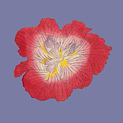 Pop Irises I - IV, Pop Iris III art print by Modern Editions
