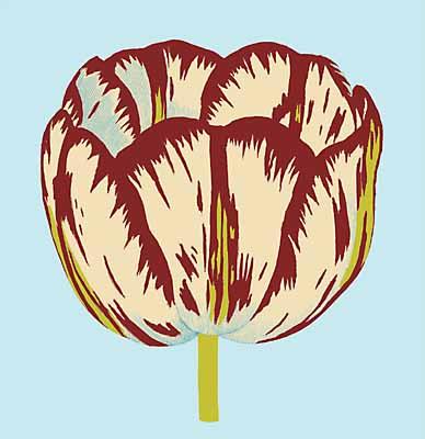 Tulips I - IV, Tulip I art print by Modern Editions