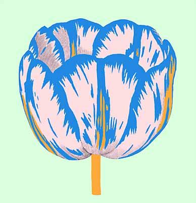 Tulips I - IV, Tulip II art print by Modern Editions