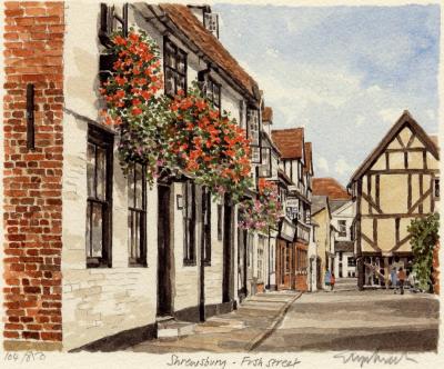 Shrewsbury - Fish Street art print by Glyn Martin