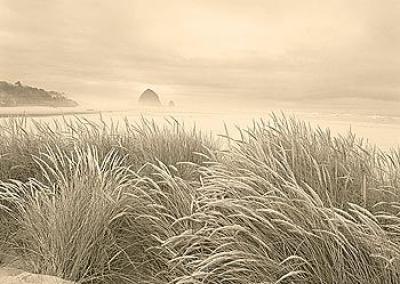 Dune Breeze