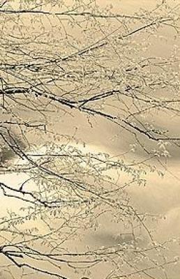 Tranquil Spring art print by Adam Brock