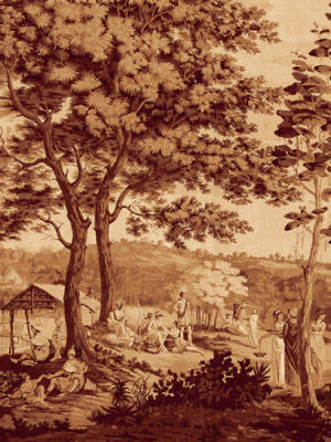 Arcadia (Sepia) II (Gouttelettes) art print by Anonymous