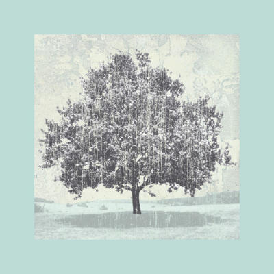Meadow Land III art print by Bill Philip