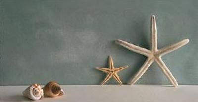 Starfish III