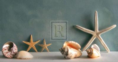 Starfish IV