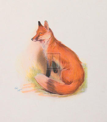 The Fox (Gouttelettes) art print by Cecil Aldin