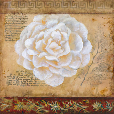 Bonita V art print by Dysart